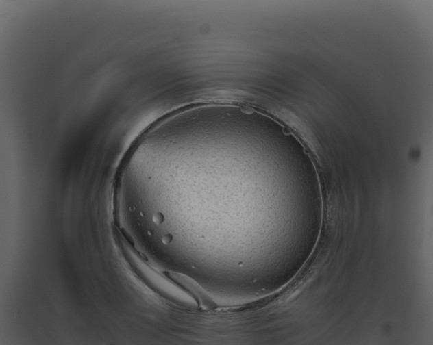 X0000093491083200710191222