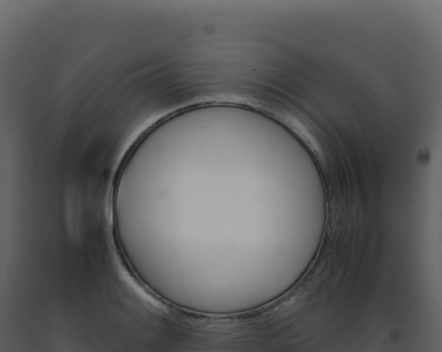 X0000093491084200710191222