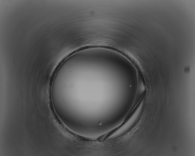 X0000093491085200710191222