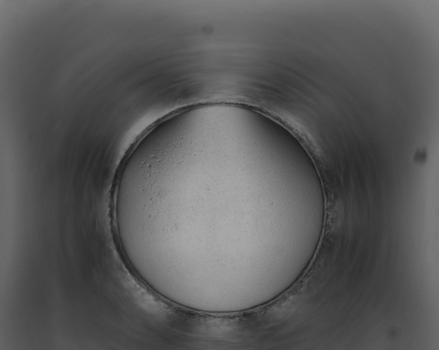 X0000093491086200710191222