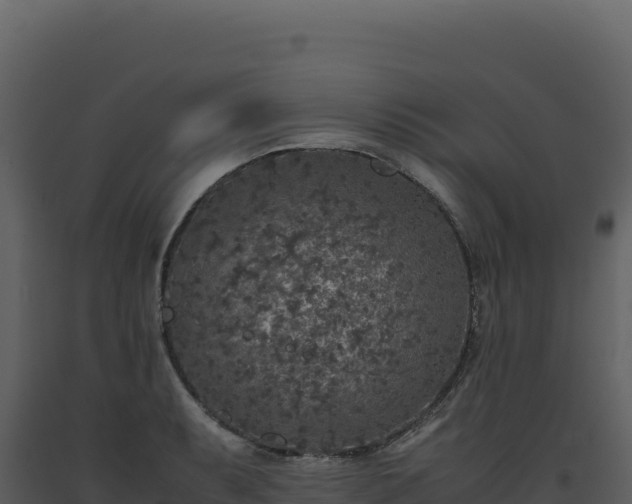 X0000093491087200710191222