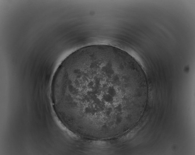 X0000093491088200710191222