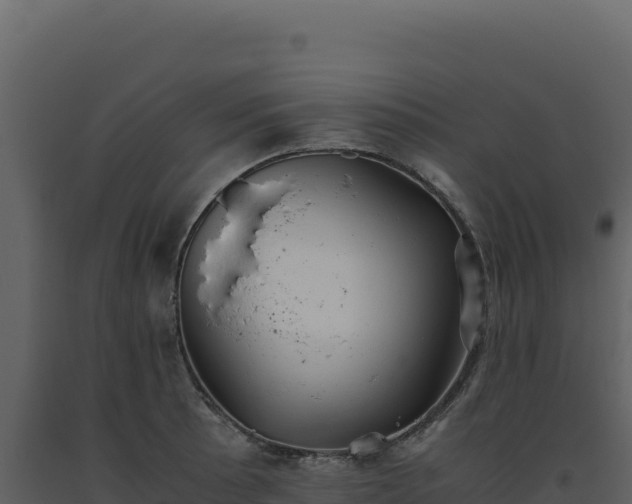 X0000093491089200710191222