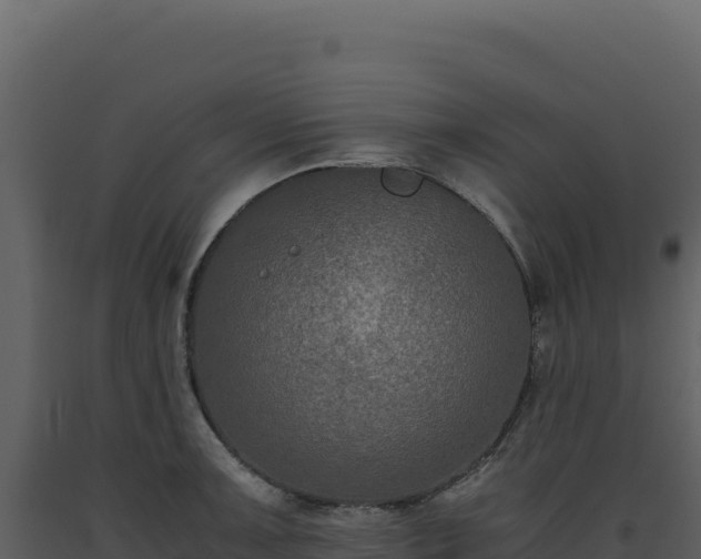 X0000093491091200710191222