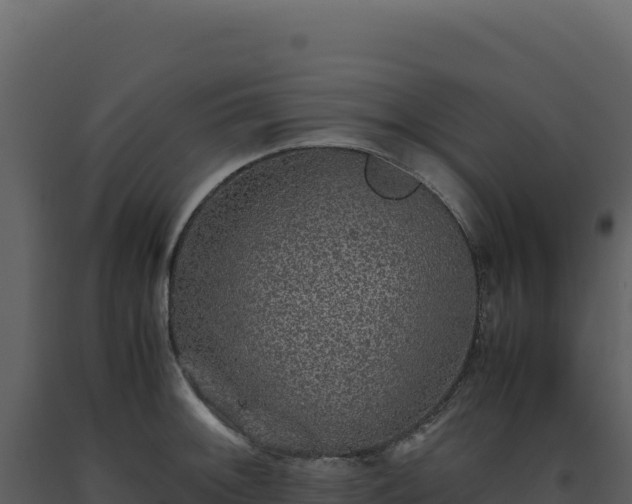 X0000093491092200710191222