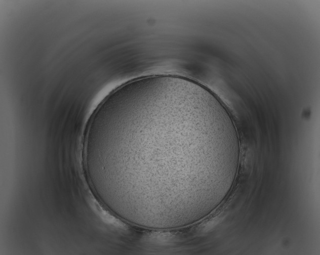 X0000093491094200710191222