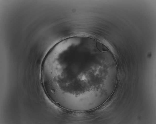 X0000093491095200710191222