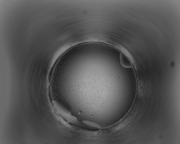 X0000093491096200710191222