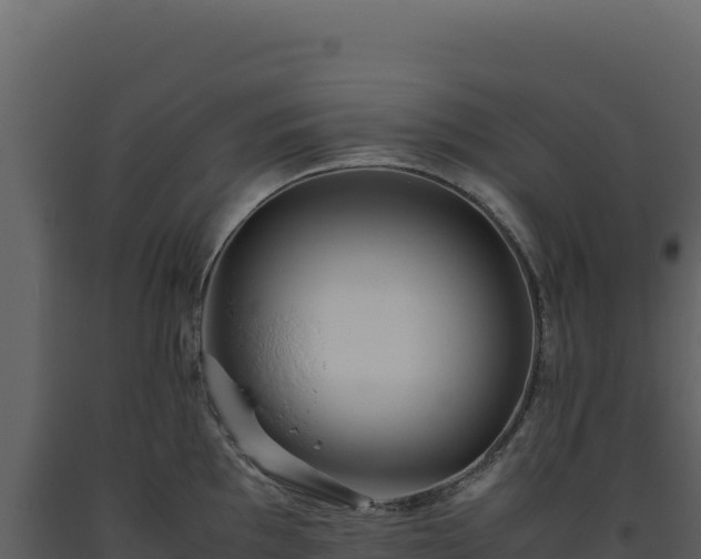 X0000093491097200710191222