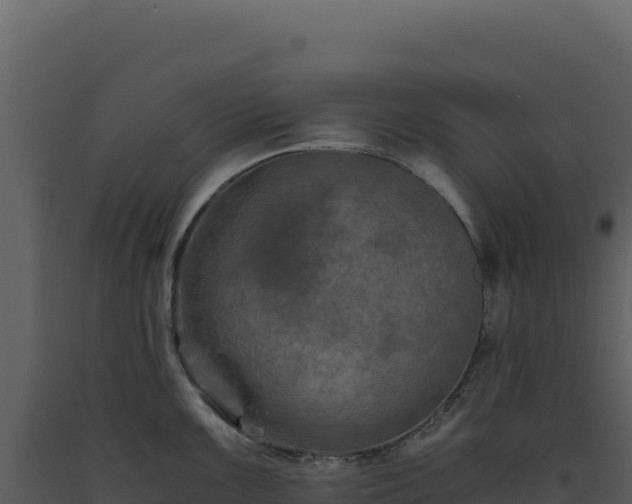 X0000093491099200710191222