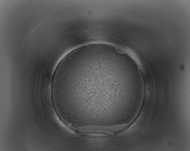 X0000093491100200710191222