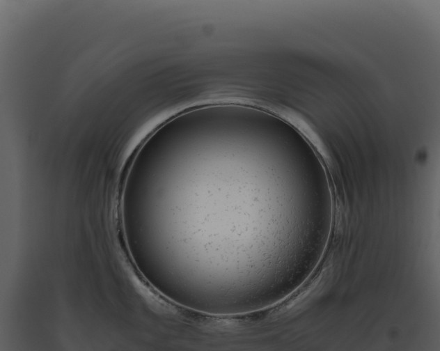 X0000093491101200710191222