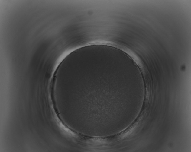 X0000093491102200710191222