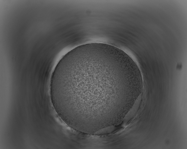 X0000093491104200710191222