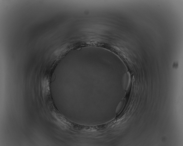 X0000093491106200710191221