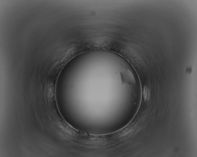 X0000093491107200710191221