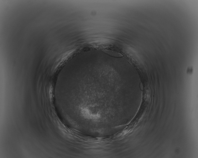 X0000093491108200710191221