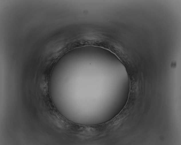 X0000093491109200710191221