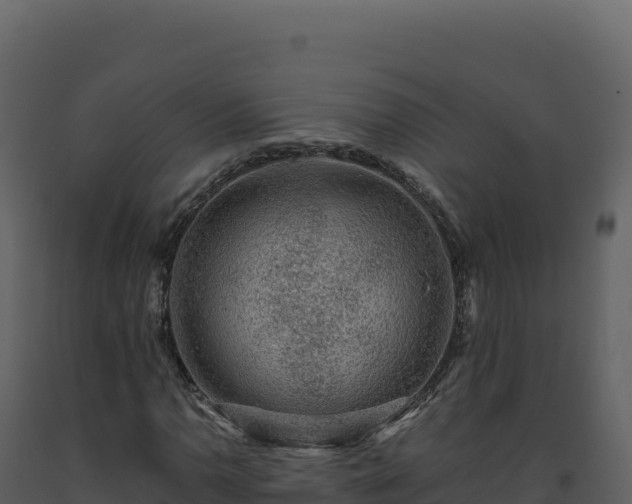 X0000093491110200710191221