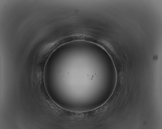 X0000093491111200710191221