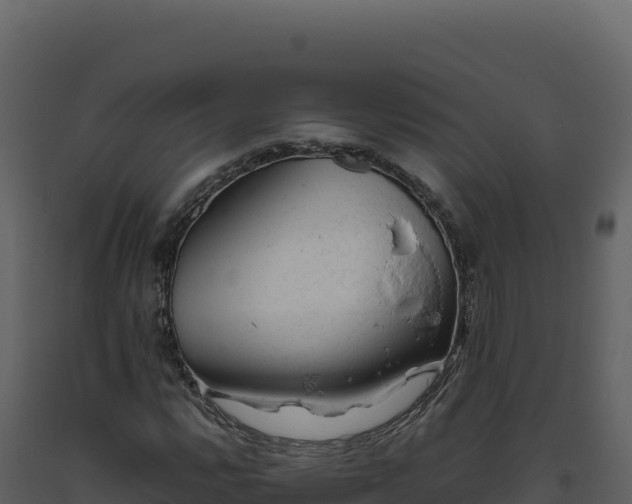 X0000093491112200710191221
