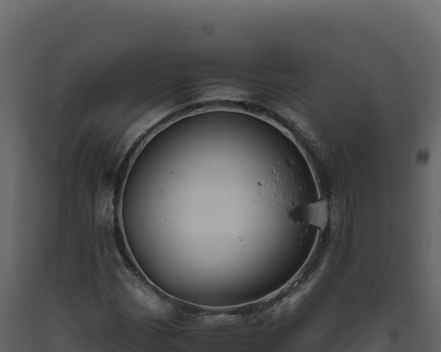 X0000093491113200710191221