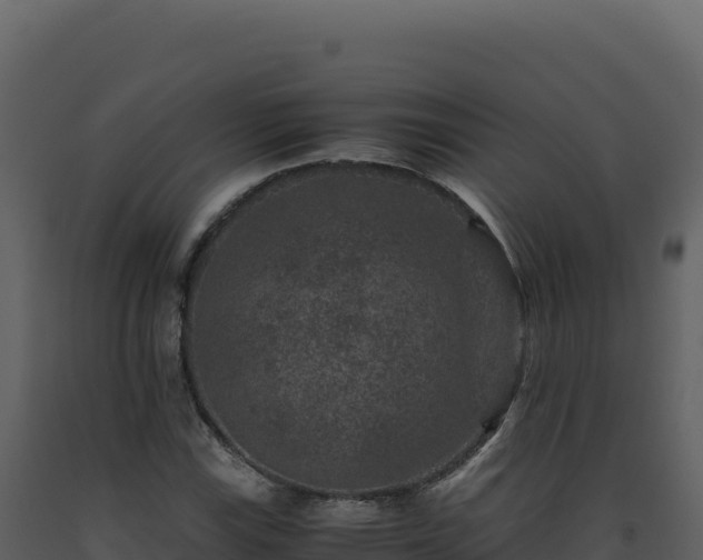 X0000093491115200710191221