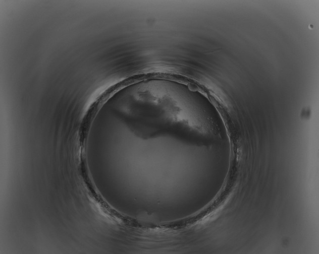 X0000093491117200710191221