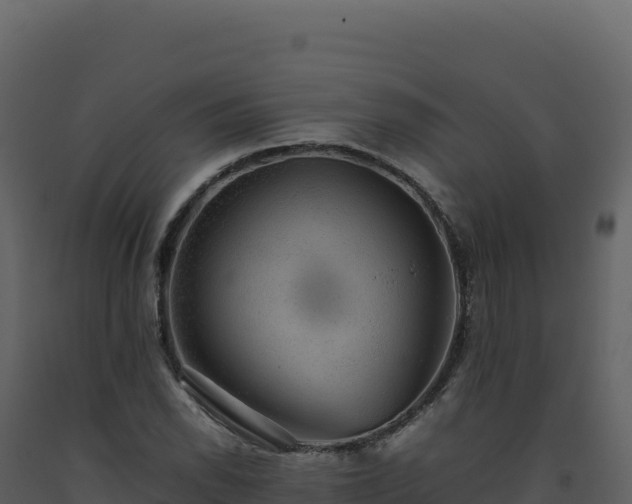 X0000093491118200710191221