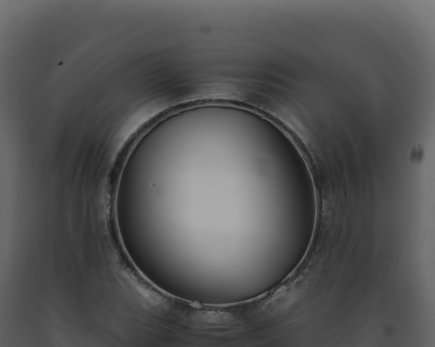 X0000093491119200710191221