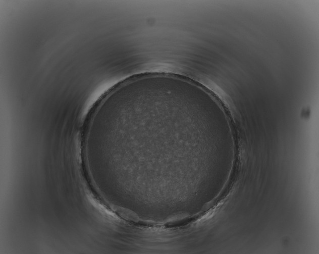 X0000093491120200710191221