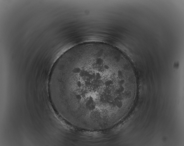 X0000093491121200710191221