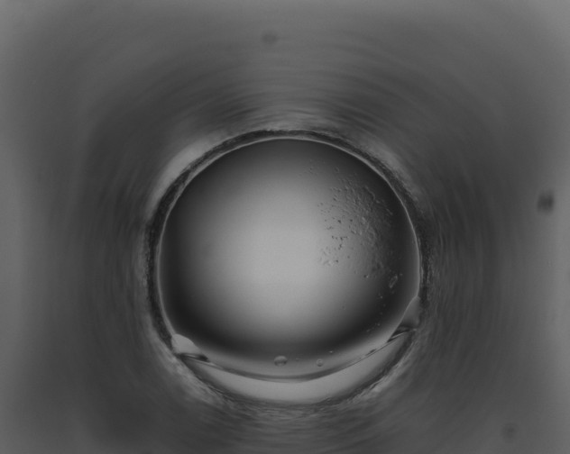 X0000093491122200710191221