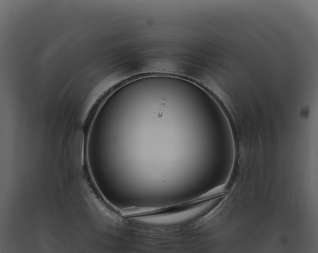 X0000093491123200710191221