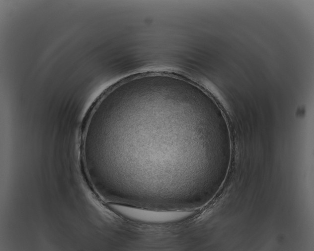 X0000093491124200710191221