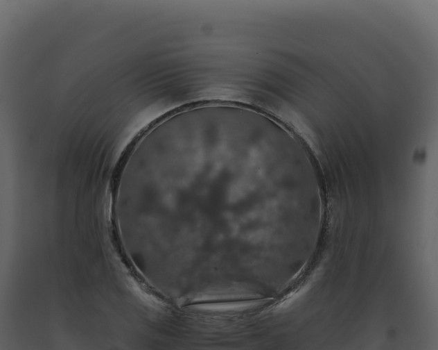 X0000093491125200710191221