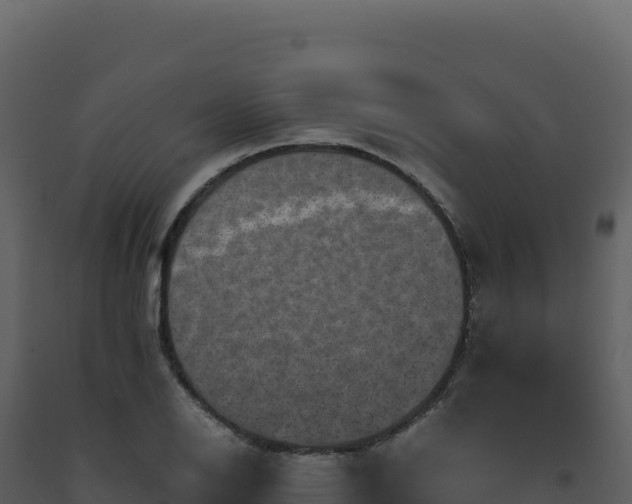 X0000093491126200710191221