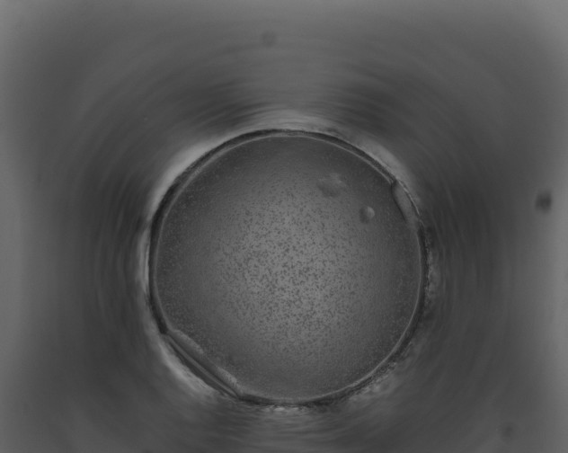 X0000093491128200710191222