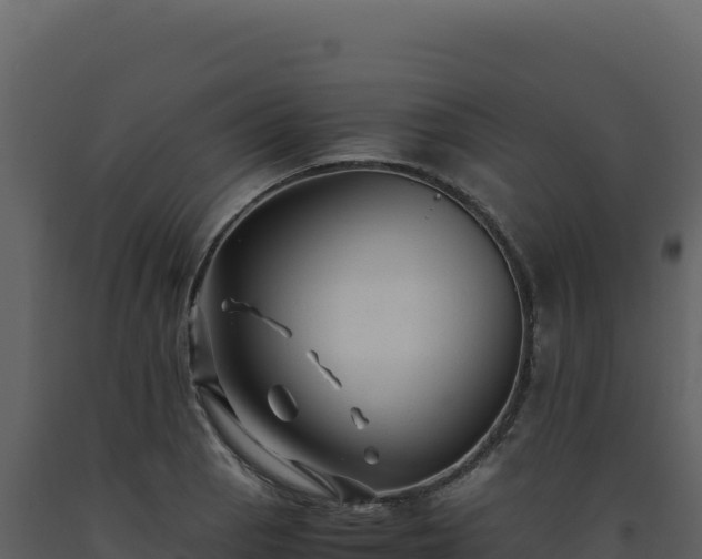X0000093491129200710191222