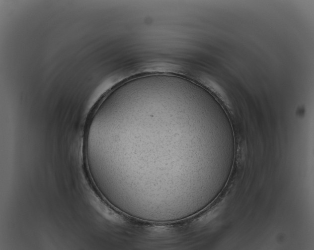 X0000093491130200710191222