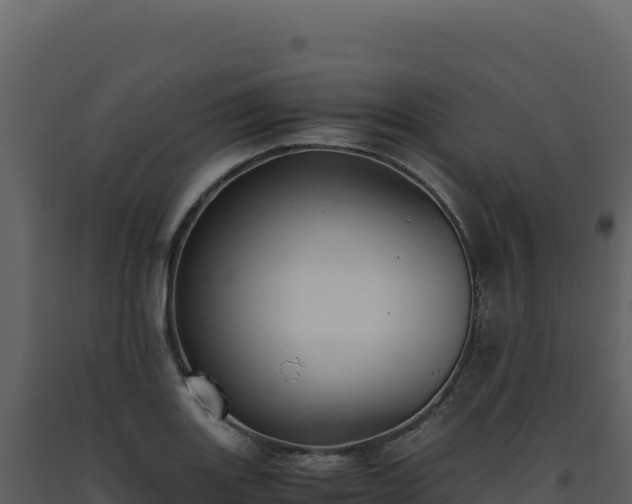 X0000093491131200710191222