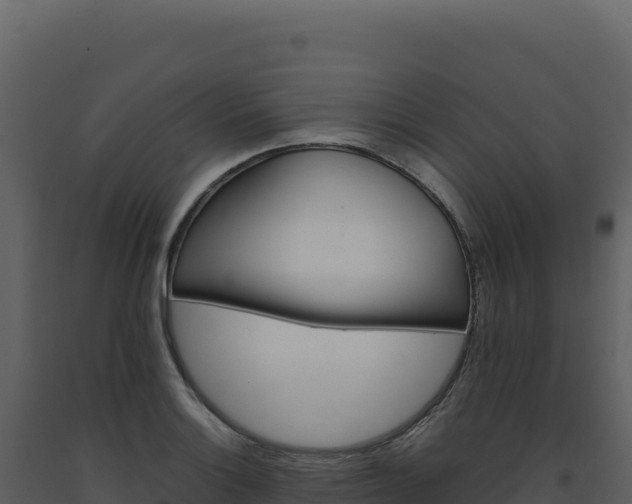 X0000093491132200710191222