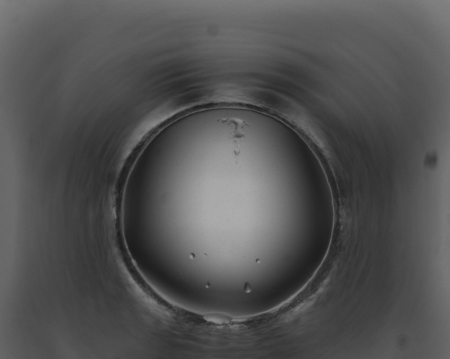 X0000093491133200710191222