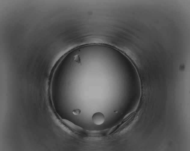 X0000093491134200710191222