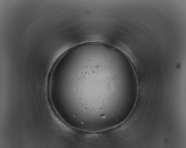 X0000093491135200710191222
