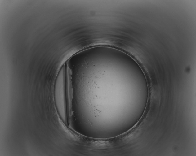 X0000093491137200710191222