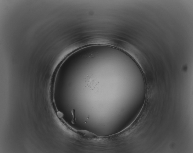 X0000093491139200710191222