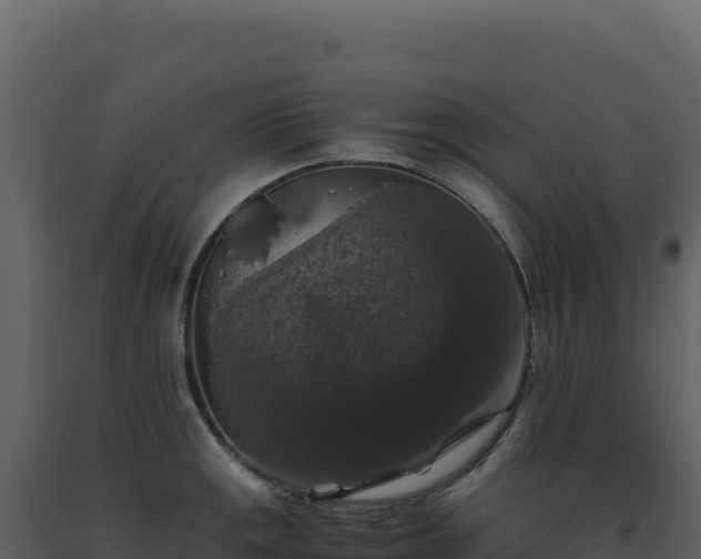 X0000093491141200710191222