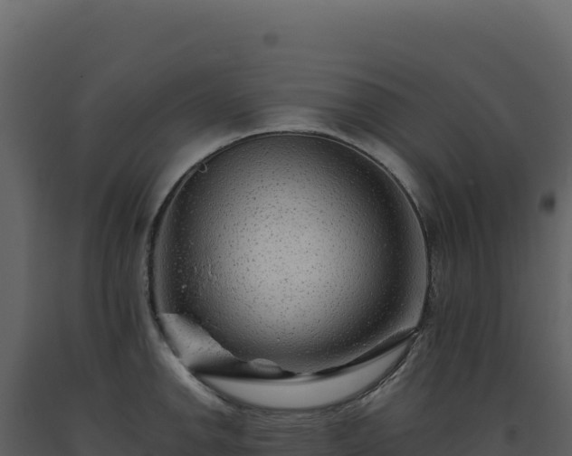 X0000093491142200710191222