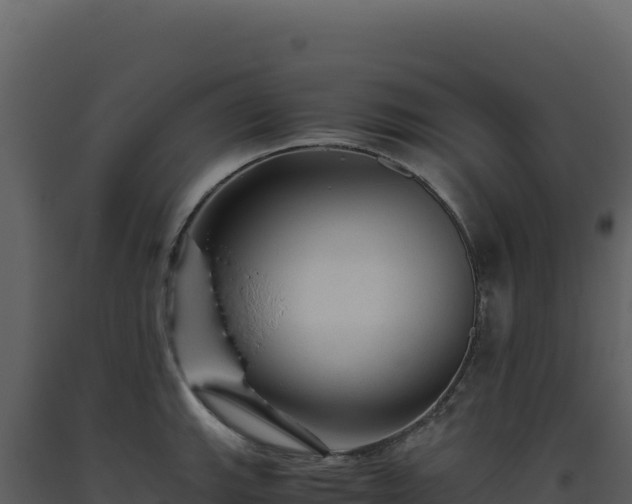 X0000093491143200710191222